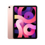 iPad iPad